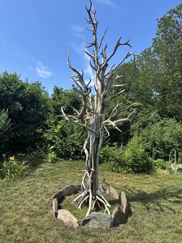 Tall outdoor tree-form sculpture assembled from driftwood and elk antlers
